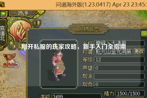刚开私服的玩家攻略，新手入门全指南